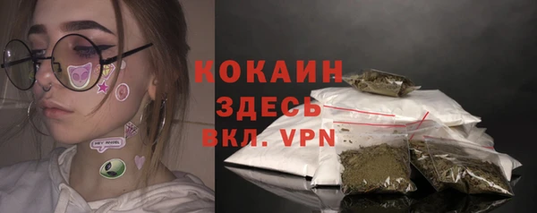 ГАЛЛЮЦИНОГЕННЫЕ ГРИБЫ Новозыбков