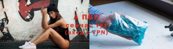 ГАЛЛЮЦИНОГЕННЫЕ ГРИБЫ Новозыбков