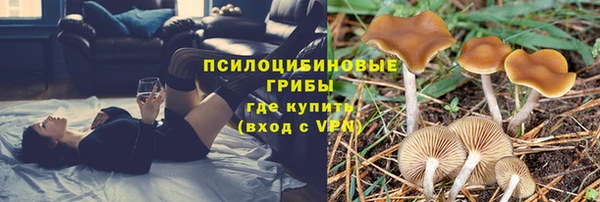 дурь Богданович