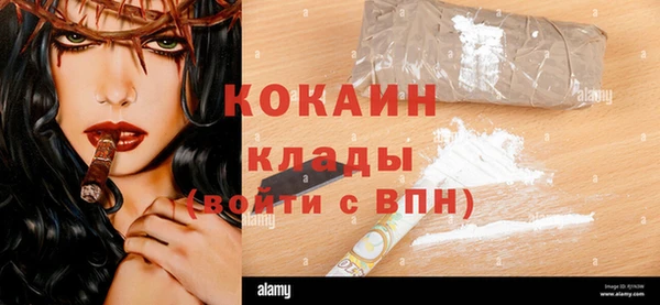 ГАЛЛЮЦИНОГЕННЫЕ ГРИБЫ Новозыбков