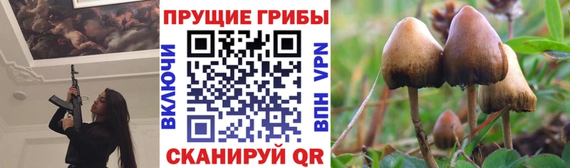 мега ссылки  Сорск  Галлюциногенные грибы GOLDEN TEACHER 